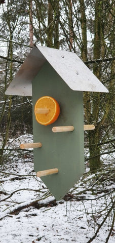 Bird feeder A